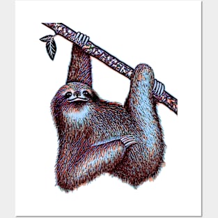 Sloth sloth lover cute sloth Posters and Art